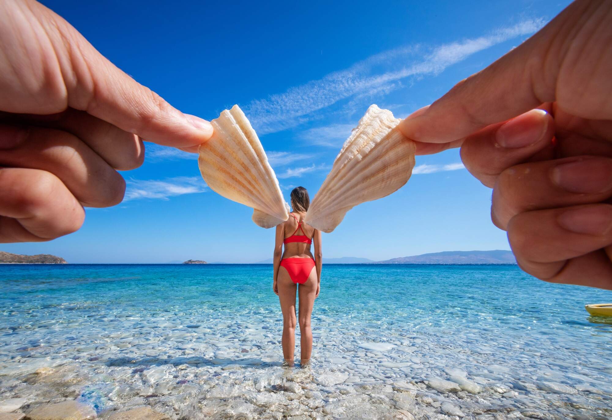 Skal hålls om vingar